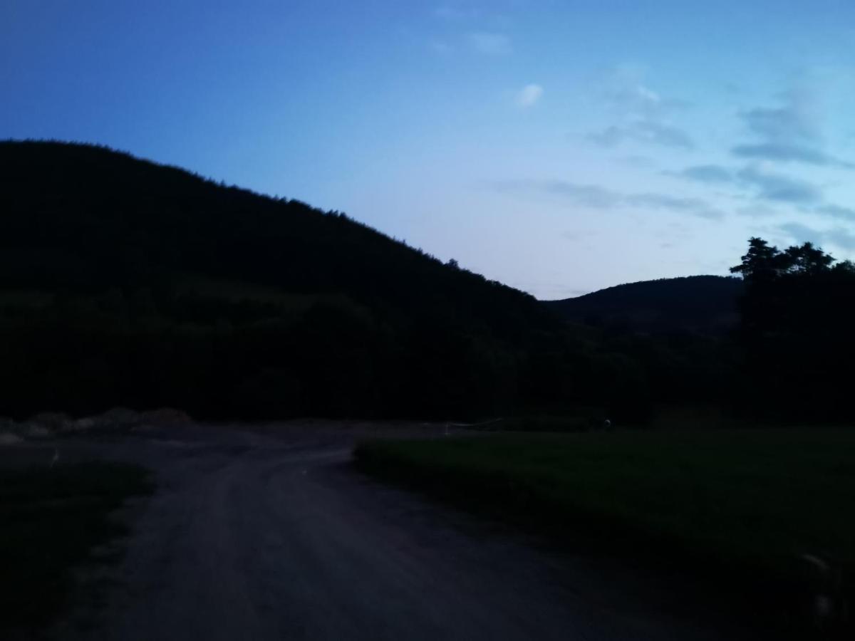 Domek Nasze Miejsce Lomnica  Экстерьер фото